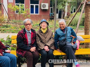 张维为哈佛演讲 以中国智慧驱散中美关系上空的乌云